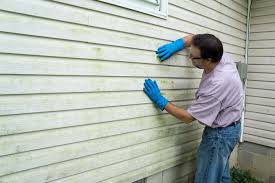 Affordable Siding Repair and Maintenance Services in Dennison, OH